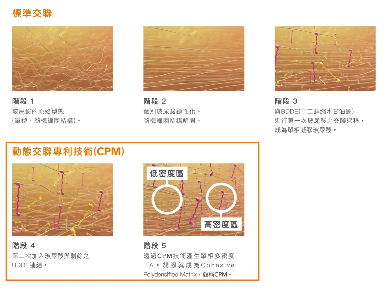 BELOTERO® CPM 專利技術