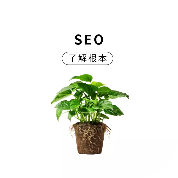 SEO優化就是把網站變成Google喜歡的樣子