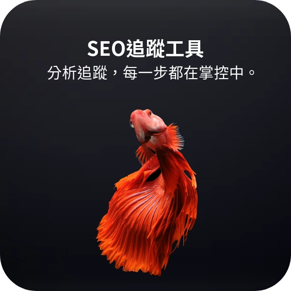 關鍵字排名與兢業追蹤