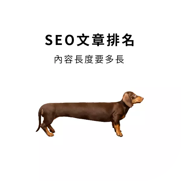 網站文章內容長度與SEO排名有關