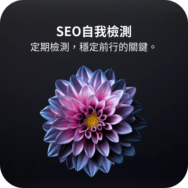 平台架站必看：操作教學—“SEO自我檢測