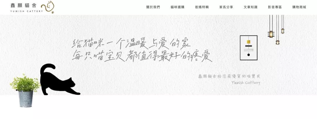 鑫願貓舍